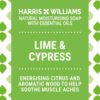 Lime & Cypress